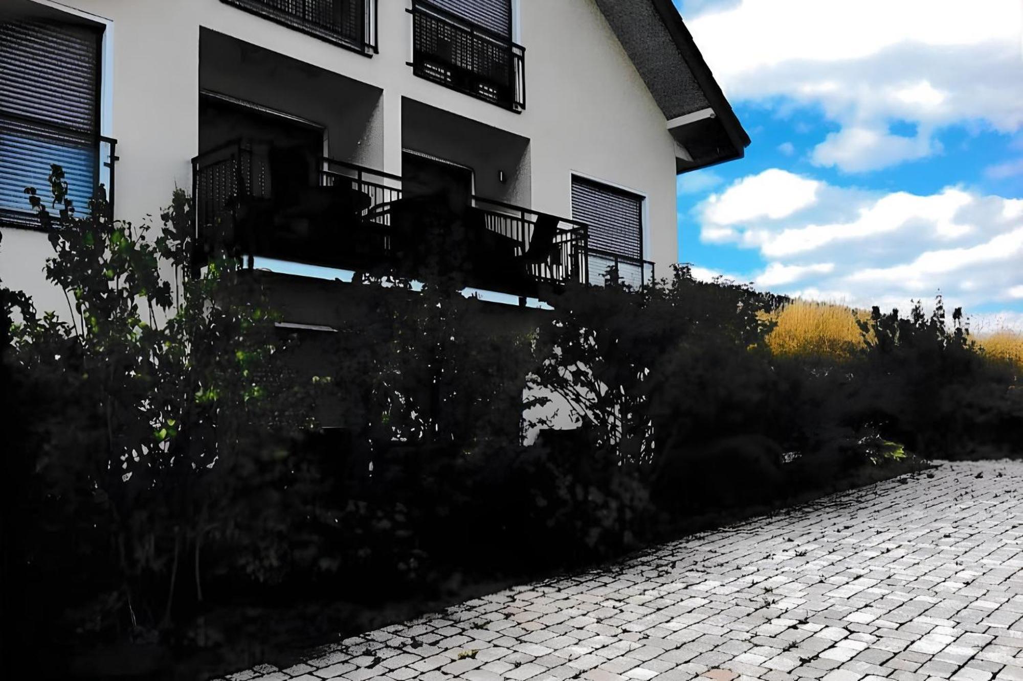 Ferienwohnung Blanco In Willingen Willingen  Exteriör bild