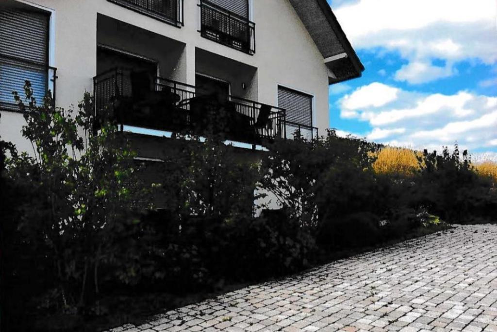 Ferienwohnung Blanco In Willingen Willingen  Exteriör bild